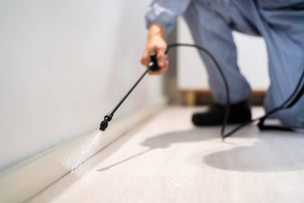 Certified termite inspector examining foundation in Haskell